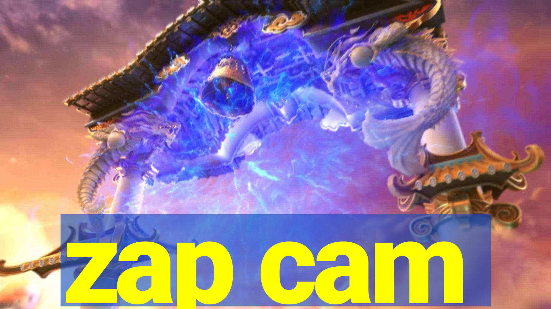 zap cam